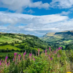 Glenariff Forest Park - Ballymoney