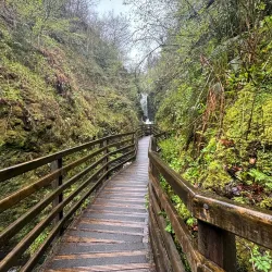 Glenariff Forest Park - Ballymoney