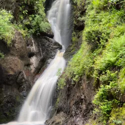 Glenariff Forest Park - Ballymoney