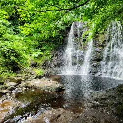Glenariff Forest Park - Ballymoney