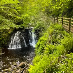 Glenariff Forest Park - Ballymoney
