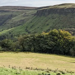 Glenariff Forest Park - Ballymoney