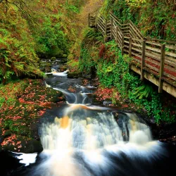 Glenariff Forest Park - Ballymoney