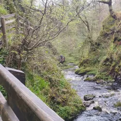 Glenariff Forest Park - Ballymoney