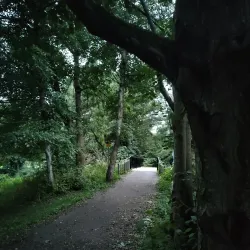 Seacon Valley Nature Reserve - Ballymoney