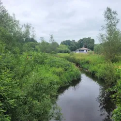 Seacon Valley Nature Reserve - Ballymoney