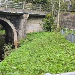 Seacon Valley Nature Reserve - Ballymoney