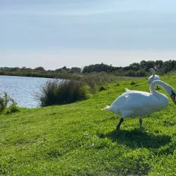Banbury Canal Walks - Banbury