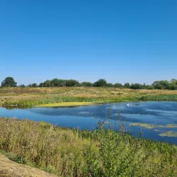 Banbury Canal Walks - Banbury