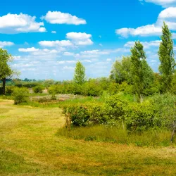 Banbury Canal Walks - Banbury