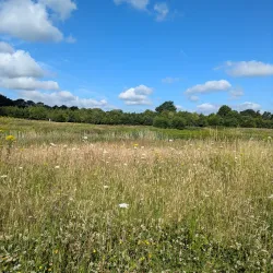Banbury Canal Walks - Banbury