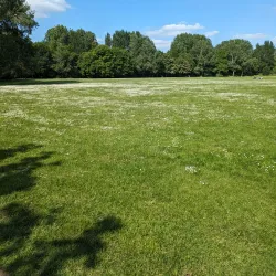 Banbury Canal Walks - Banbury