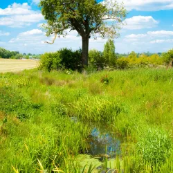 Banbury Canal Walks - Banbury