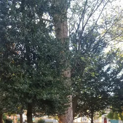 People's Park - Banbury