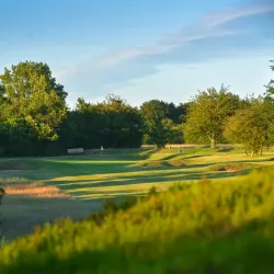 Banstead Downs - Banstead