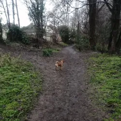 Banstead Downs - Banstead