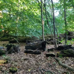 Banstead Woods - Banstead