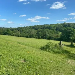 Banstead Woods - Banstead