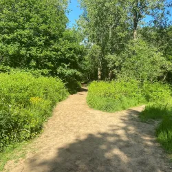 Banstead Woods - Banstead