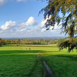 Nork Park - Banstead