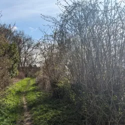 Nork Park - Banstead