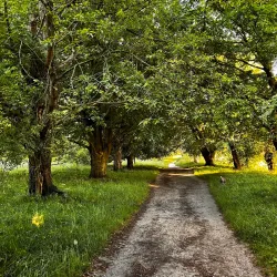 Nork Park - Banstead