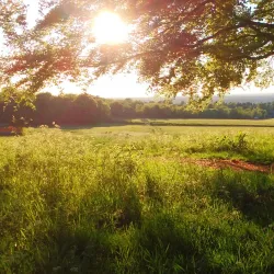 Nork Park - Banstead