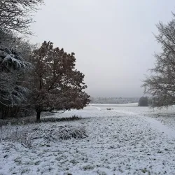 Nork Park - Banstead