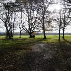 The Banstead History Research Group - Banstead