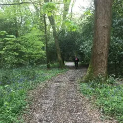 The Banstead History Research Group - Banstead