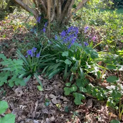The Banstead History Research Group - Banstead