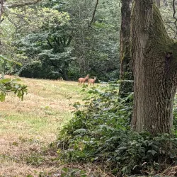 The Banstead History Research Group - Banstead
