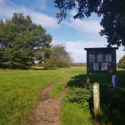 The Banstead History Research Group - Banstead