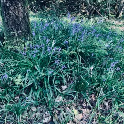 The Banstead History Research Group - Banstead