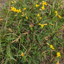 The Banstead History Research Group - Banstead