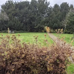 Church Farmhouse Museum - Barnet
