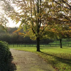 Golders Hill Park - Barnet