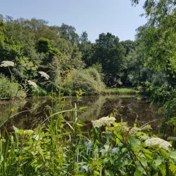 Golders Hill Park - Barnet