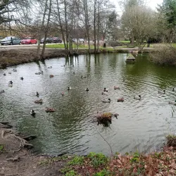 Hadley Green - Barnet