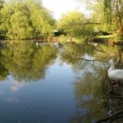 Hadley Green - Barnet