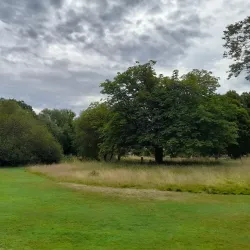 Hadley Green - Barnet