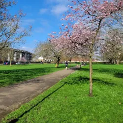 Oak Hill Park - Barnet