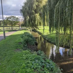 Oak Hill Park - Barnet