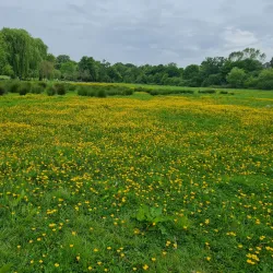 Oak Hill Park - Barnet