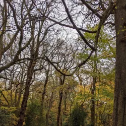 Oak Hill Park - Barnet