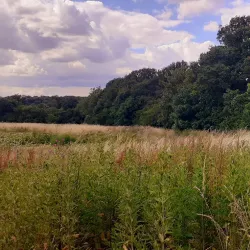 Scratchwood Country Park - Barnet