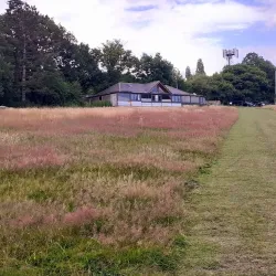 Scratchwood Country Park - Barnet