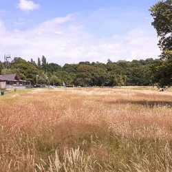 Scratchwood Country Park - Barnet