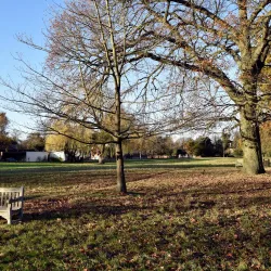 Totteridge Green - Barnet