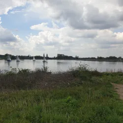 Welsh Harp Reservoir (Brent Reservoir) - Barnet